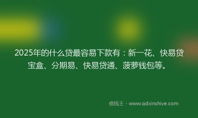 2025年的什么贷最容易下款有：新一花、快易贷宝盒、分期易、快易贷通、菠萝钱包等。