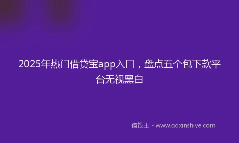 2025年热门借贷宝app入口，盘点五个包下款平台无视黑白