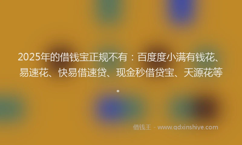 2025年的借钱宝正规不有：百度度小满有钱花、易速花、快易借速贷、现金秒借贷宝、天源花等。