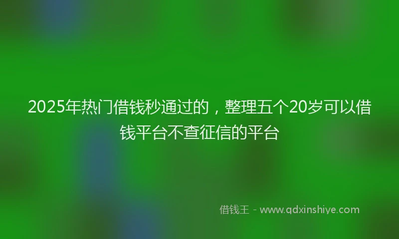 2025年热门借钱秒通过的，整理五个20岁可以借钱平台不查征信的平台