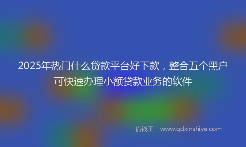2025年热门什么贷款平台好下款，整合五个黑户可快速办理小额贷款业务的软件