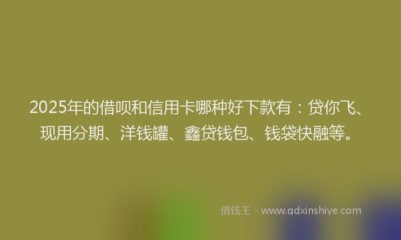 2025年的借呗和信用卡哪种好下款有：贷你飞、现用分期、洋钱罐、鑫贷钱包、钱袋快融等。