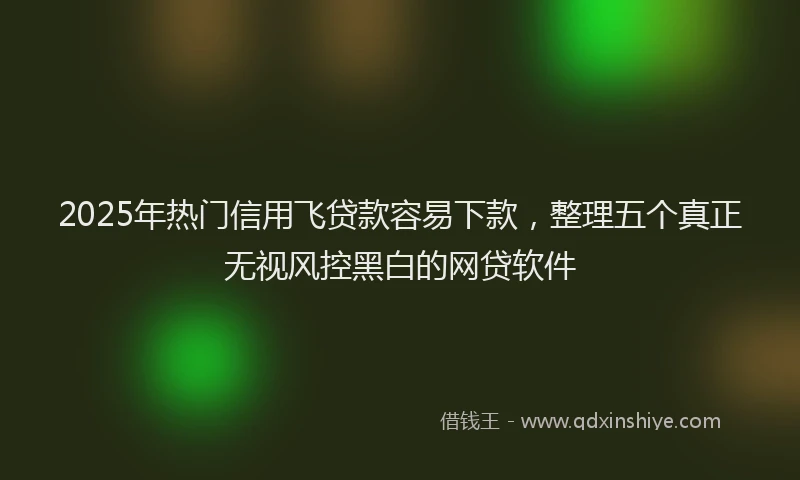 2025年热门信用飞贷款容易下款，整理五个真正无视风控黑白的网贷软件