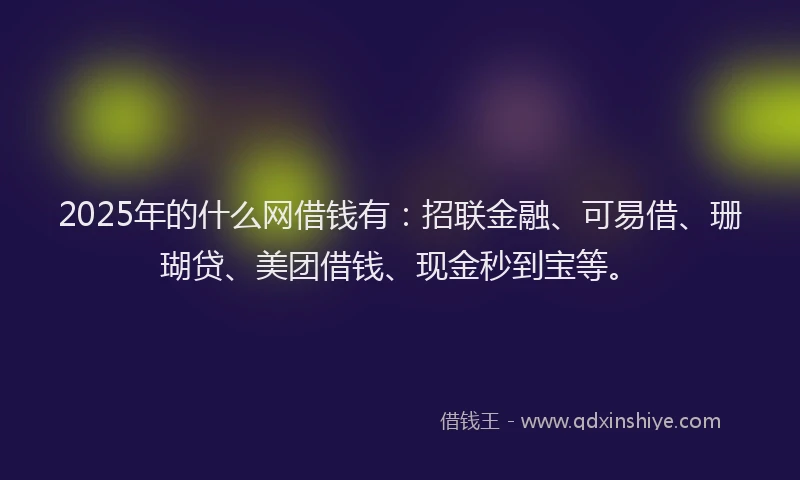 2025年的什么网借钱有：招联金融、可易借、珊瑚贷、美团借钱、现金秒到宝等。