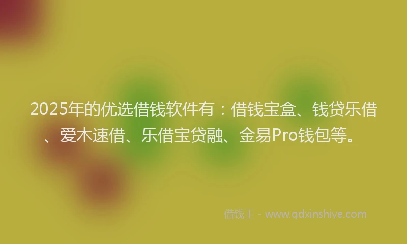 2025年的优选借钱软件有：借钱宝盒、钱贷乐借、爱木速借、乐借宝贷融、金易Pro钱包等。