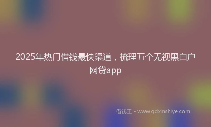 2025年热门借钱最快渠道，梳理五个无视黑白户网贷app
