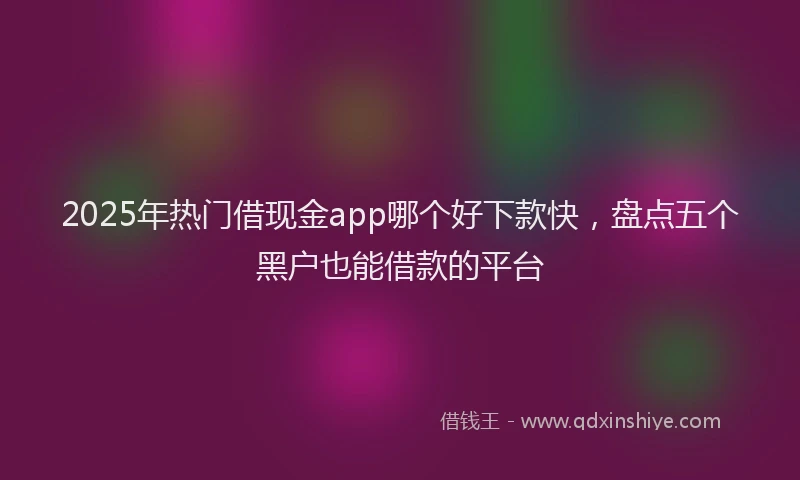2025年热门借现金app哪个好下款快，盘点五个黑户也能借款的平台