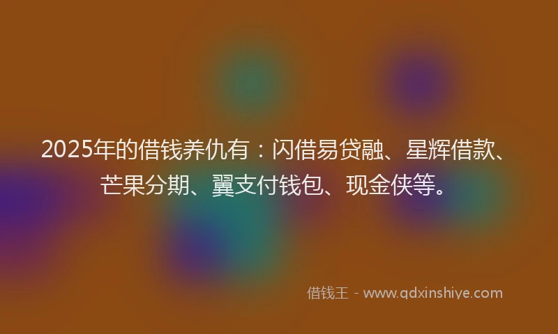 2025年的借钱养仇有：闪借易贷融、星辉借款、芒果分期、翼支付钱包、现金侠等。