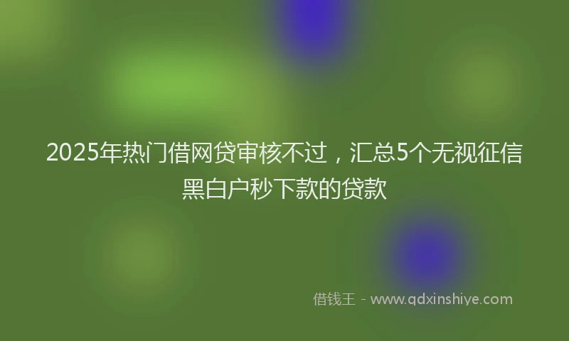2025年热门借网贷审核不过，汇总5个无视征信黑白户秒下款的贷款