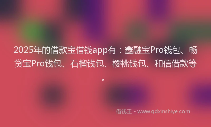 2025年的借款宝借钱app有：鑫融宝Pro钱包、畅贷宝Pro钱包、石榴钱包、樱桃钱包、和信借款等。
