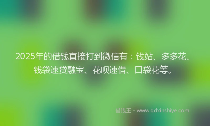 2025年的借钱直接打到微信有：钱站、多多花、钱袋速贷融宝、花呗速借、口袋花等。