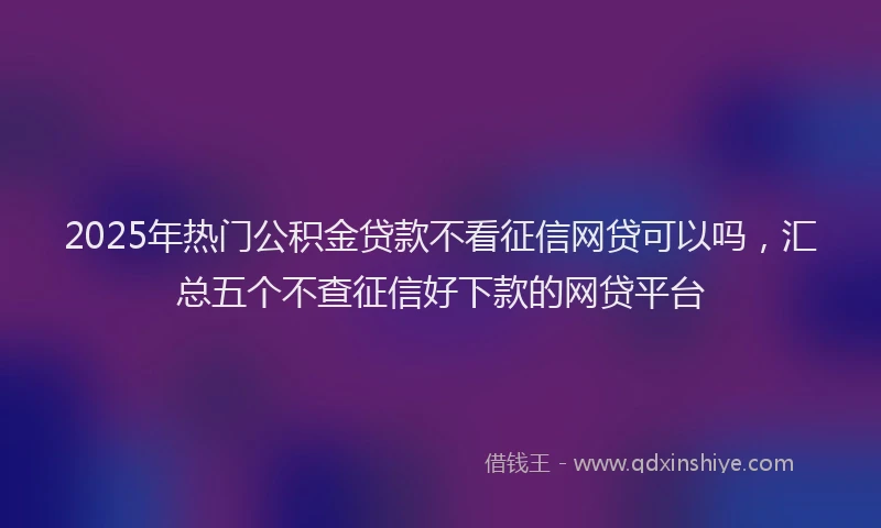 2025年热门公积金贷款不看征信网贷可以吗，汇总五个不查征信好下款的网贷平台