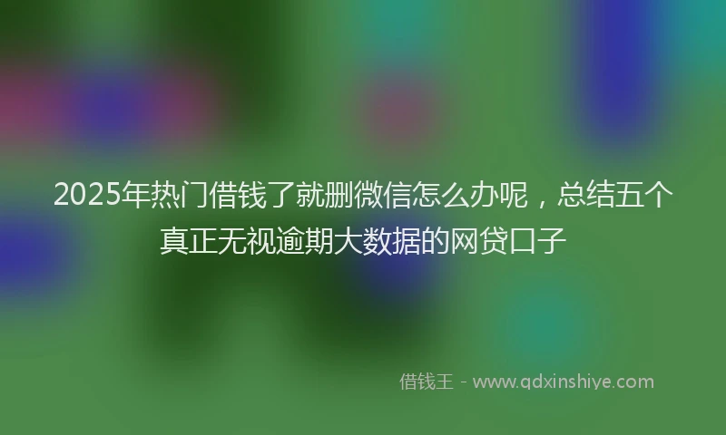 2025年热门借钱了就删微信怎么办呢，总结五个真正无视逾期大数据的网贷口子
