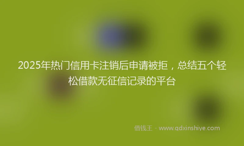 2025年热门信用卡注销后申请被拒，总结五个轻松借款无征信记录的平台