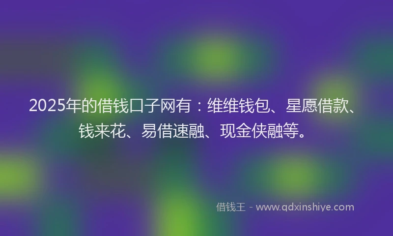 2025年的借钱口子网有：维维钱包、星愿借款、钱来花、易借速融、现金侠融等。