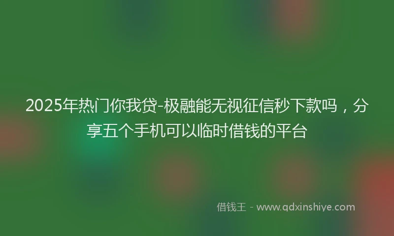 2025年热门你我贷-极融能无视征信秒下款吗，分享五个手机可以临时借钱的平台