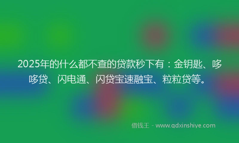 2025年的什么都不查的贷款秒下有：金钥匙、哆哆贷、闪电通、闪贷宝速融宝、粒粒贷等。