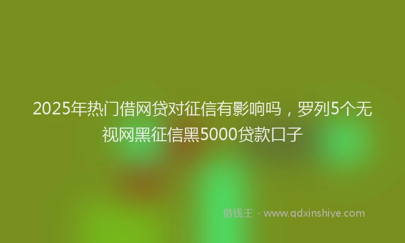 2025年热门借网贷对征信有影响吗，罗列5个无视网黑征信黑5000贷款口子