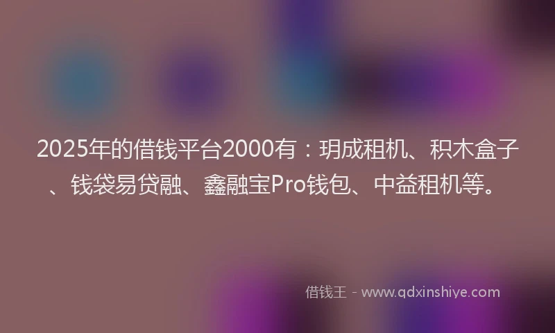 2025年的借钱平台2000有：玥成租机、积木盒子、钱袋易贷融、鑫融宝Pro钱包、中益租机等。