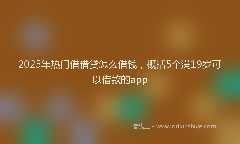 2025年热门借借贷怎么借钱，概括5个满19岁可以借款的app