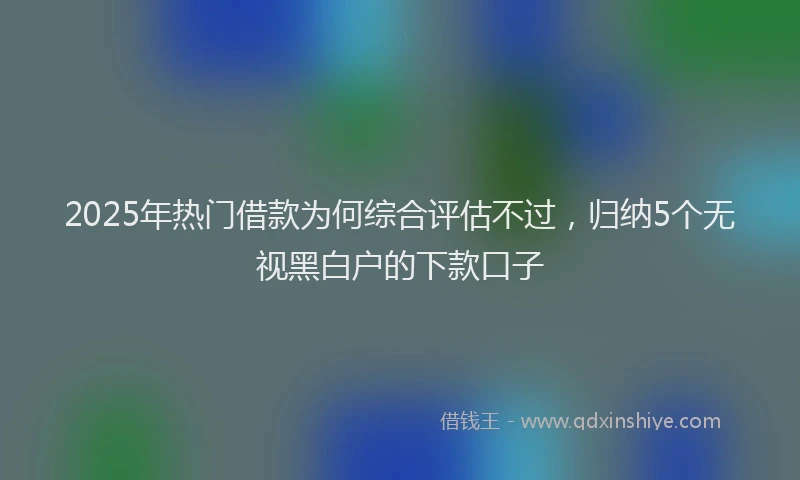 2025年热门借款为何综合评估不过，归纳5个无视黑白户的下款口子