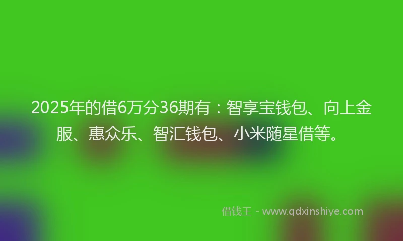 2025年的借6万分36期有：智享宝钱包、向上金服、惠众乐、智汇钱包、小米随星借等。