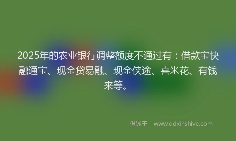 2025年的农业银行调整额度不通过有：借款宝快融通宝、现金贷易融、现金侠途、喜米花、有钱来等。