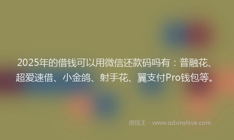 2025年的借钱可以用微信还款码吗有：普融花、超爱速借、小金鸽、射手花、翼支付Pro钱包等。