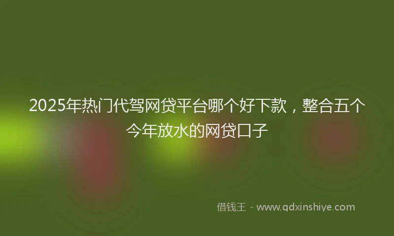 2025年热门代驾网贷平台哪个好下款，整合五个今年放水的网贷口子