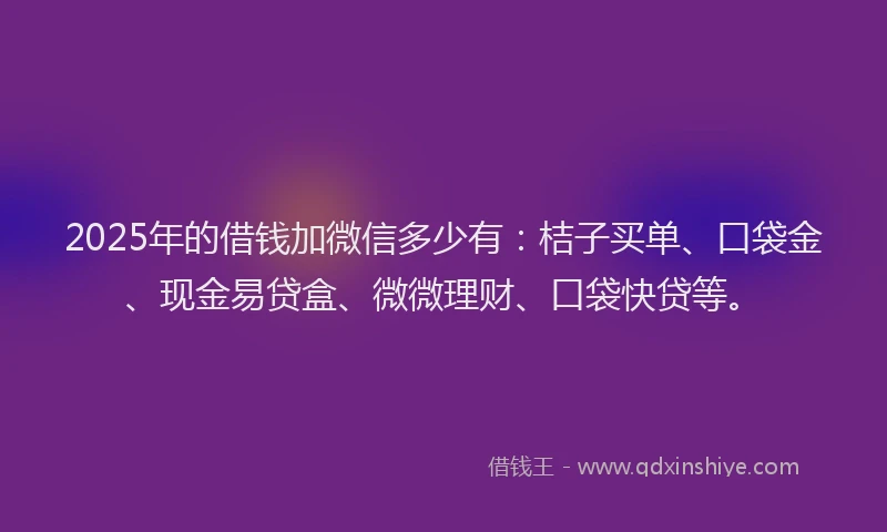 2025年的借钱加微信多少有：桔子买单、口袋金、现金易贷盒、微微理财、口袋快贷等。