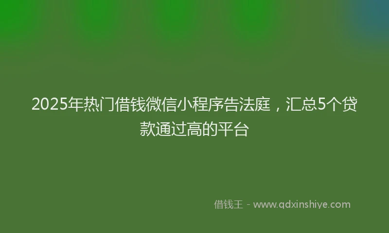 2025年热门借钱微信小程序告法庭，汇总5个贷款通过高的平台