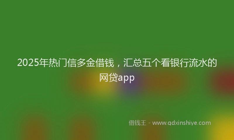 2025年热门信多金借钱，汇总五个看银行流水的网贷app