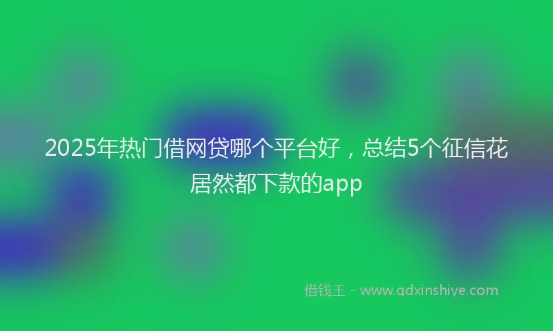 2025年热门借网贷哪个平台好，总结5个征信花居然都下款的app