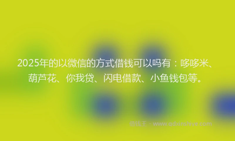 2025年的以微信的方式借钱可以吗有：哆哆米、葫芦花、你我贷、闪电借款、小鱼钱包等。
