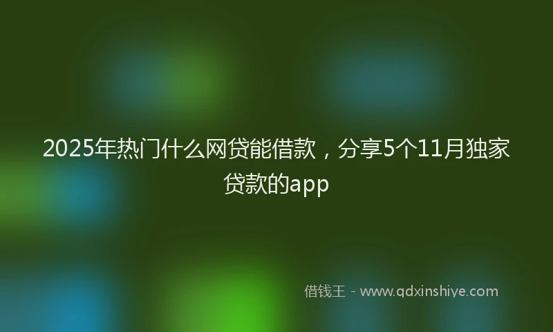 2025年热门什么网贷能借款，分享5个11月独家贷款的app