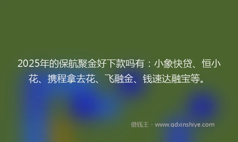 2025年的保航聚金好下款吗有：小象快贷、恒小花、携程拿去花、飞融金、钱速达融宝等。