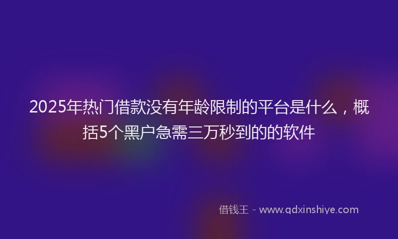 2025年热门借款没有年龄限制的平台是什么，概括5个黑户急需三万秒到的的软件