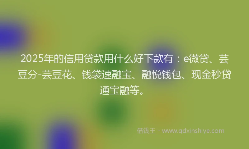 2025年的信用贷款用什么好下款有：e微贷、芸豆分-芸豆花、钱袋速融宝、融悦钱包、现金秒贷通宝融等。