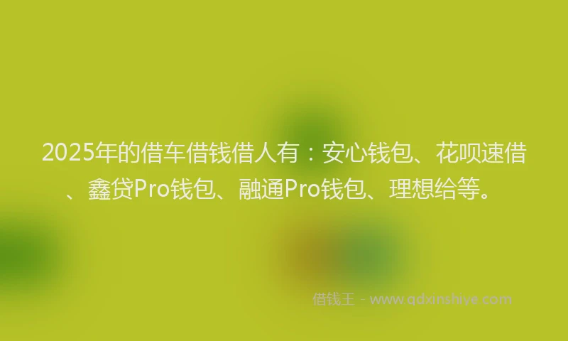 2025年的借车借钱借人有：安心钱包、花呗速借、鑫贷Pro钱包、融通Pro钱包、理想给等。