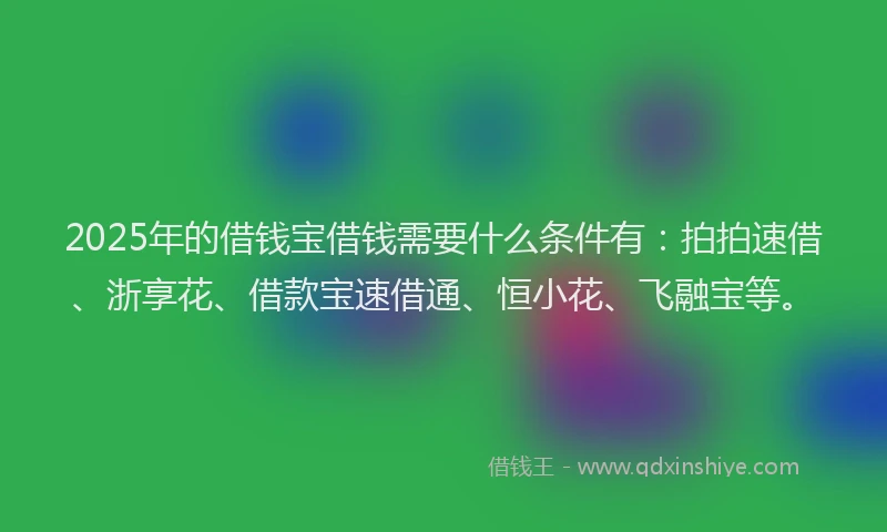2025年的借钱宝借钱需要什么条件有：拍拍速借、浙享花、借款宝速借通、恒小花、飞融宝等。