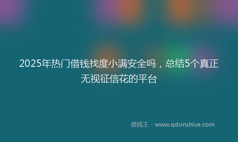 2025年热门借钱找度小满安全吗，总结5个真正无视征信花的平台