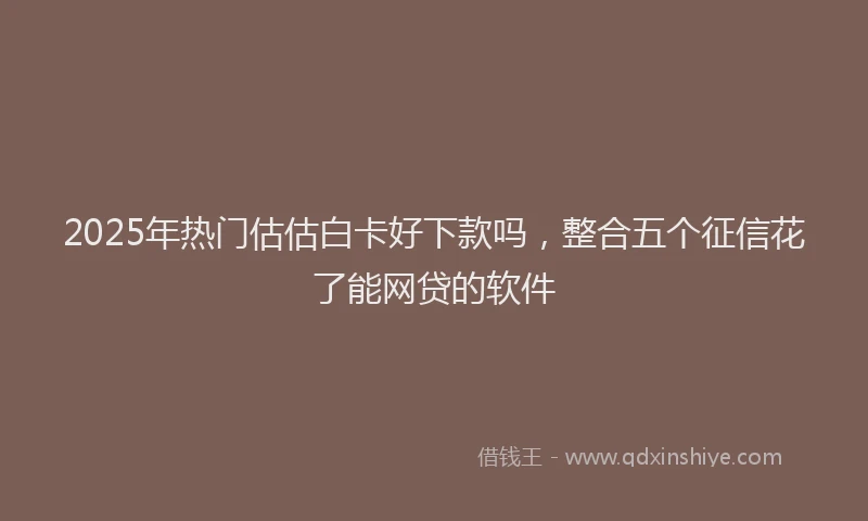 2025年热门估估白卡好下款吗，整合五个征信花了能网贷的软件