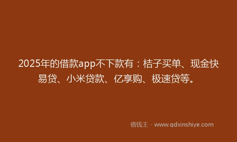 2025年的借款app不下款有：桔子买单、现金快易贷、小米贷款、亿享购、极速贷等。
