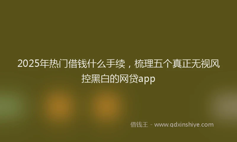 2025年热门借钱什么手续，梳理五个真正无视风控黑白的网贷app