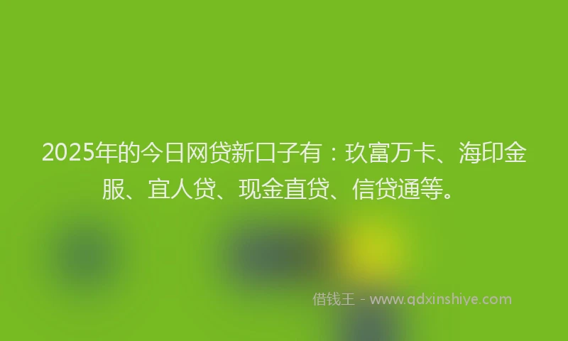 2025年的今日网贷新口子有：玖富万卡、海印金服、宜人贷、现金直贷、信贷通等。
