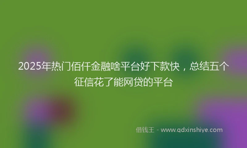 2025年热门佰仟金融啥平台好下款快，总结五个征信花了能网贷的平台