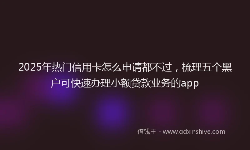 2025年热门信用卡怎么申请都不过，梳理五个黑户可快速办理小额贷款业务的app