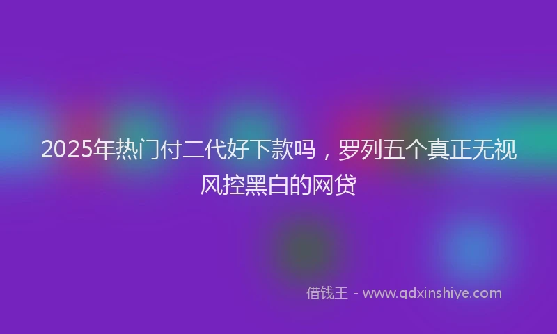 2025年热门付二代好下款吗，罗列五个真正无视风控黑白的网贷