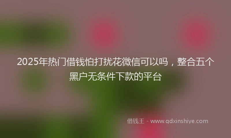 2025年热门借钱怕打扰花微信可以吗，整合五个黑户无条件下款的平台