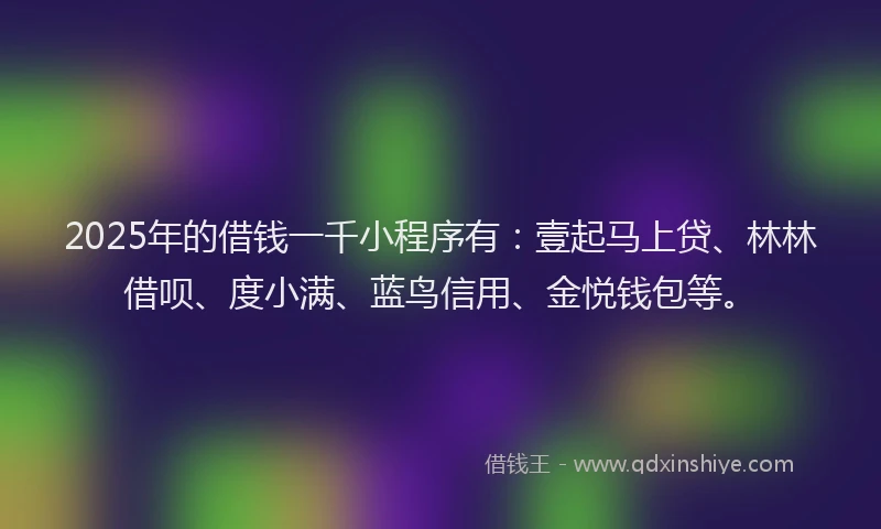 2025年的借钱一千小程序有：壹起马上贷、林林借呗、度小满、蓝鸟信用、金悦钱包等。